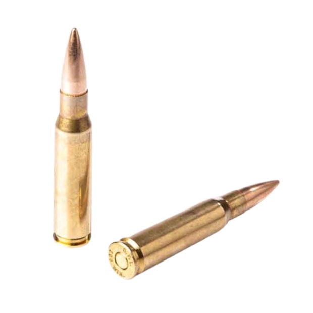 Šovinys FIOCCHI 308Win LL FMJ 147 9,52g