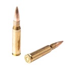Šovinys FIOCCHI 308Win LL FMJ 147 9,52g