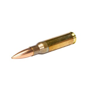 Šovinys GGG 308Win HPBT 175gr. (11,3g)