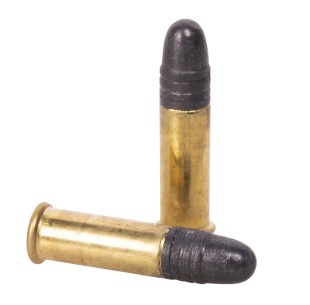 Šovinys FIOCCHI 22LR SEMIAUTOMATIC